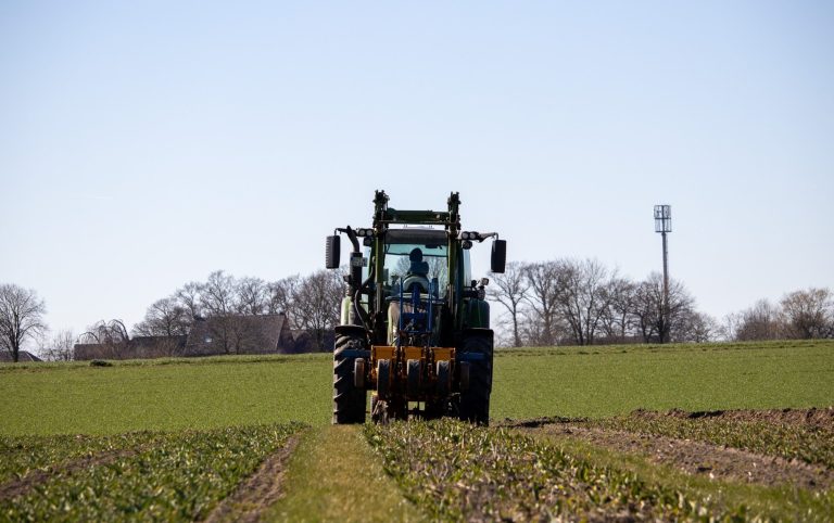 Ein Traktor fährt über ein Blumenfeld von Beckmanns Blumen.