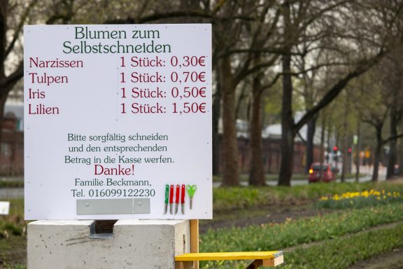 Ein Schild mit Preisen für "Blumen zum Selbstschneiden" steht an einem Feld von Beckmanns Blumen.