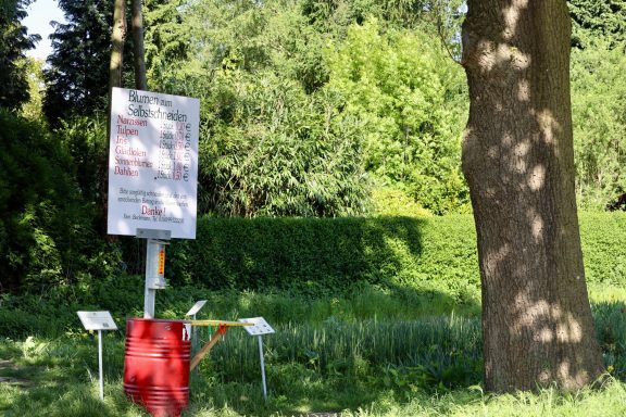 Ein Schild mit Preisen für "Blumen zum Selbstschneiden" steht an einem Feld von Beckmanns Blumen.