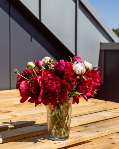 Ein Strauß roter Pfingstrosen von Beckmanns Blumen blüht in einer Vase.