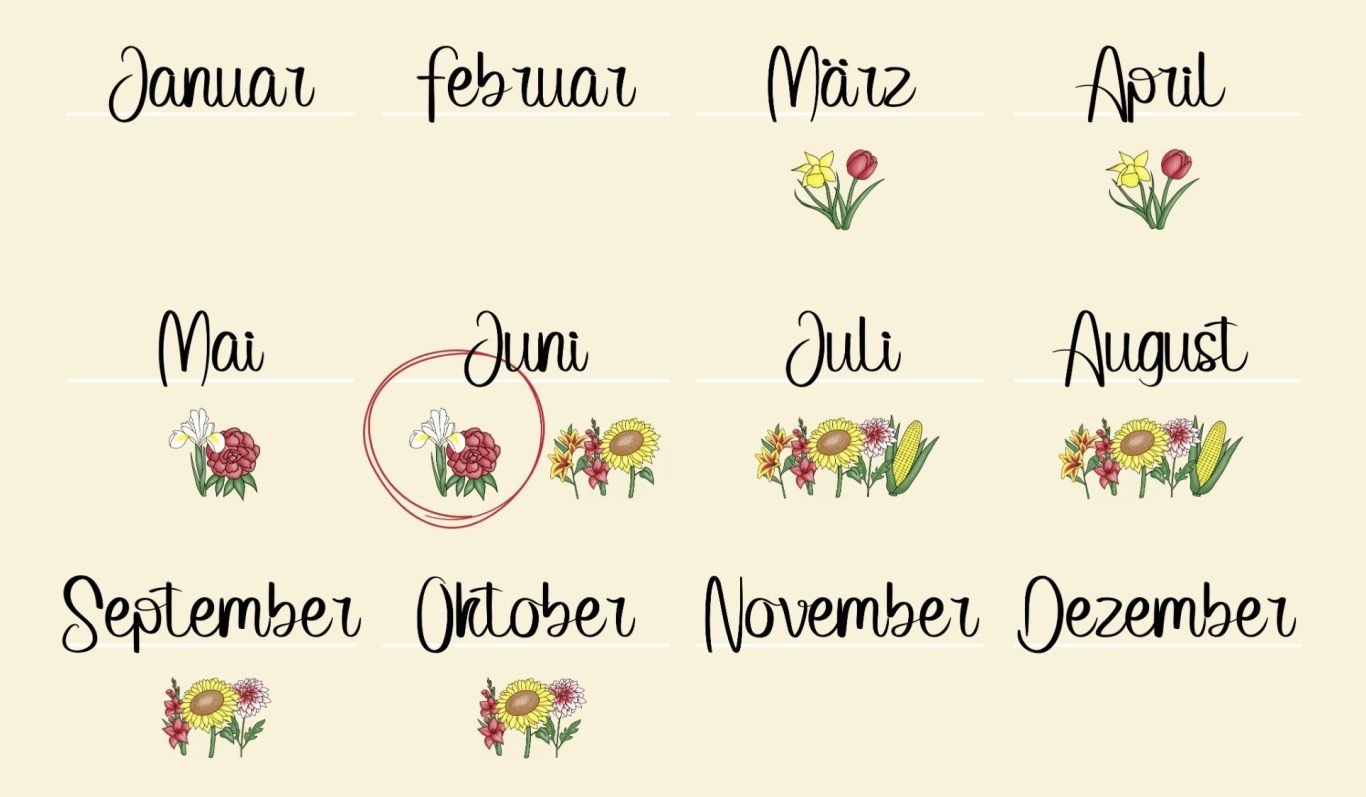 Ein Kalender mit einer monatlichen Übersicht der Blumen auf den Blumenfeldern von Beckmanns Blumen. Ein Kalender mit einer monatlichen Übersicht der Blumen auf den Blumenfeldern von Beckmanns Blumen.