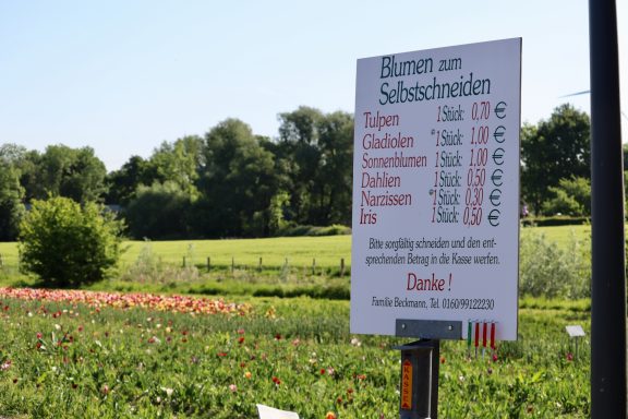 Ein Schild mit Preisen für "Blumen zum Selbstschneiden" steht an einem Feld von Beckmanns Blumen.