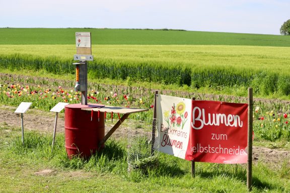 Ein Schild mit dem Text "Blumen zum Selbstschneiden" steht an einem Feld von Beckmanns Blumen.