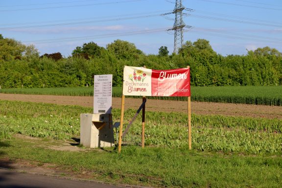 Ein Schild mit dem Text "Blumen zum Selbstschneiden" steht an einem Feld von Beckmanns Blumen.