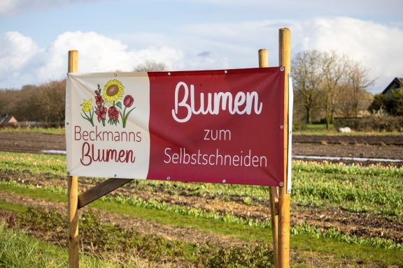 Ein Schild mit dem Text "Blumen zum Selbstschneiden" steht an einem Feld von Beckmanns Blumen.