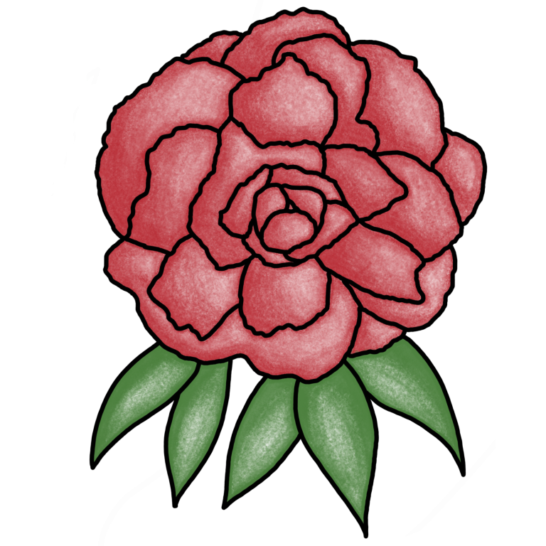 Eine gezeichnete rote Pfingstrose.