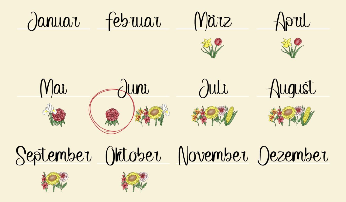 Ein Kalender mit einer monatlichen Übersicht der Blumen auf den Blumenfeldern von Beckmanns Blumen.