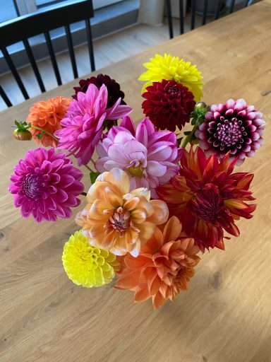 Ein Strauß bunter Dahlien von Beckmanns Blumen steht auf einem Tisch.