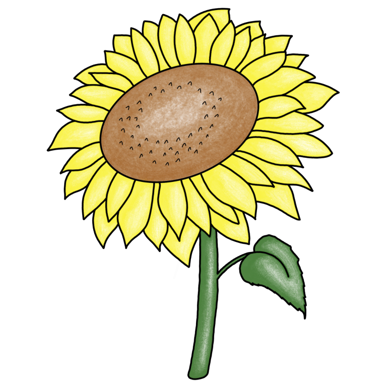 Eine gezeichnete Sonnenblume.