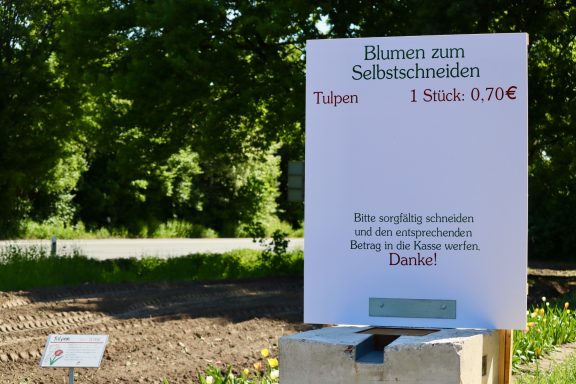 Ein Schild mit Preisen für "Blumen zum Selbstschneiden" steht an einem Feld von Beckmanns Blumen.