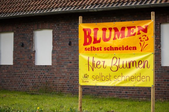 Ein Schild mit dem Text "Blumen zum Selbstschneiden" steht an einem Feld von Beckmanns Blumen.