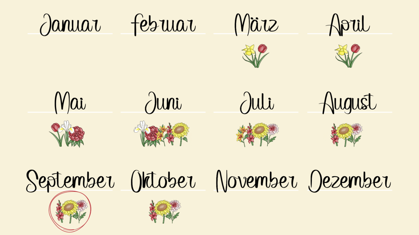 Eine Jahreskalender-Übersicht über die Blumen, die auf den Feldern von Beckmanns Blumen blühen.