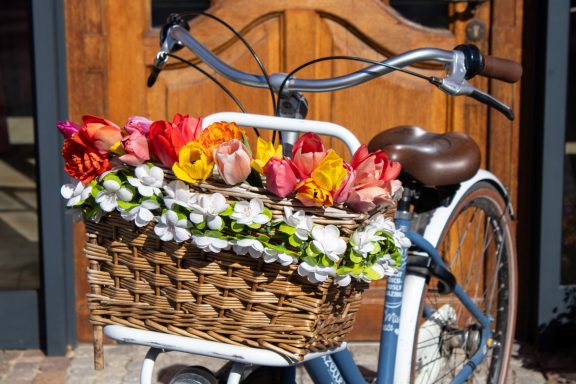 Bunte Tulpen von Beckmanns Blumen liegen arrangiert in einem Vintage-Fahrradkorb.