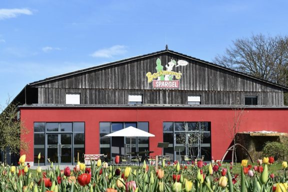 Bunte Tulpen blühen auf einem Blumenfeld von Beckmanns Blumen.