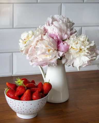 Ein Strauß weißer Pfingstrosen von Beckmanns Blumen blüht in einer Vase. Daneben steht eine Schüssel mit Erdbeeren.
