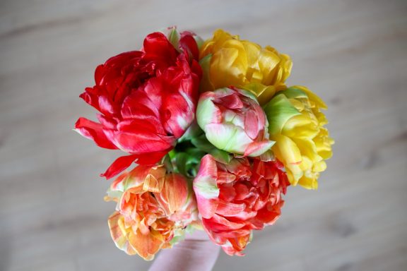 Ein Strauß gefüllter Tulpen von Beckmanns Blumen vor einem Holz-Hintergrund.