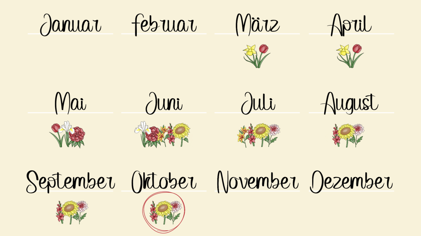 Eine Jahreskalender-Übersicht über die Blumen, die auf den Feldern von Beckmanns Blumen blühen.