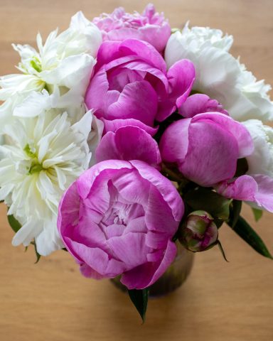 Ein Strauß weißer und pinker Pfingstrosen von Beckmanns Blumen blüht in einer Vase.