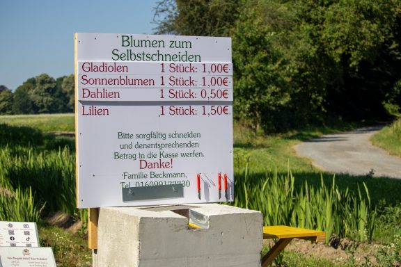 Ein Schild mit Preisen für "Blumen zum Selbstschneiden" steht an einem Feld von Beckmanns Blumen.