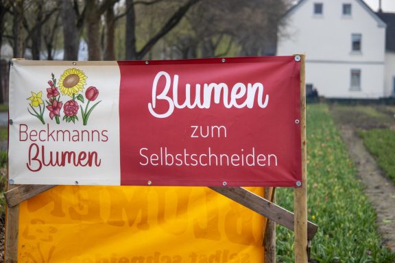 Ein Schild mit dem Text "Blumen zum Selbstschneiden" steht an einem Feld von Beckmanns Blumen.