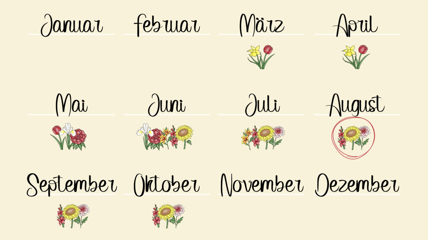 Eine Jahreskalender-Übersicht über die Blumen, die auf den Feldern von Beckmanns Blumen blühen.