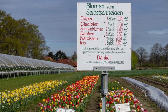 Ein Schild mit Preisen für "Blumen zum Selbstschneiden" steht an einem Feld von Beckmanns Blumen.